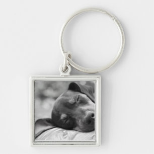 Sleeping Miniature Pinscher dog Keychain