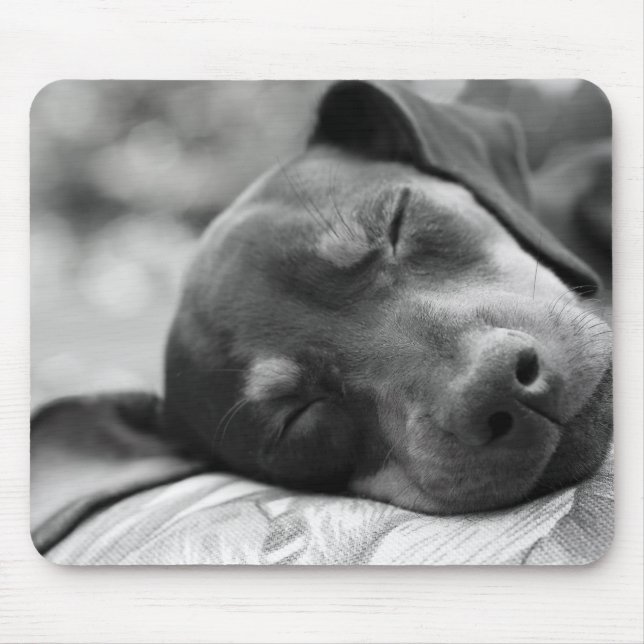 Sleeping Miniature Pinscher dog Mouse Pad (Front)