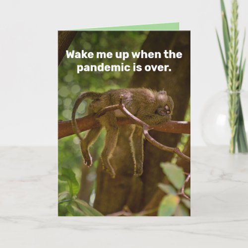 Sleeping Monkey_ Wake Me Up When Pandemic Is Over Card