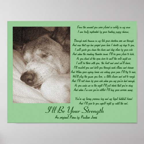 sleeping old akita dog animal sympathy poem poster