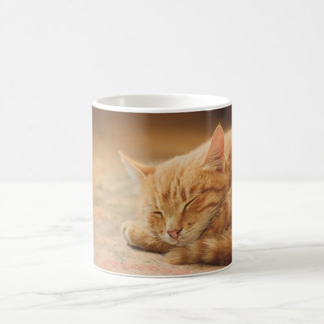 Sleeping Orange Tabby Cat Coffee Mug (Center)