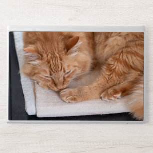 Sleeping Orange Tabby Cat on White Towel Serene HP Laptop Skin