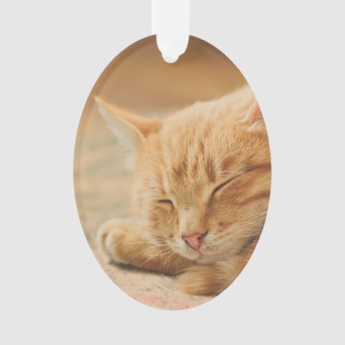 Sleeping Orange Tabby Cat Ornament