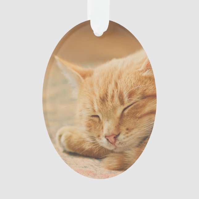 Sleeping Orange Tabby Cat Ornament (Front)
