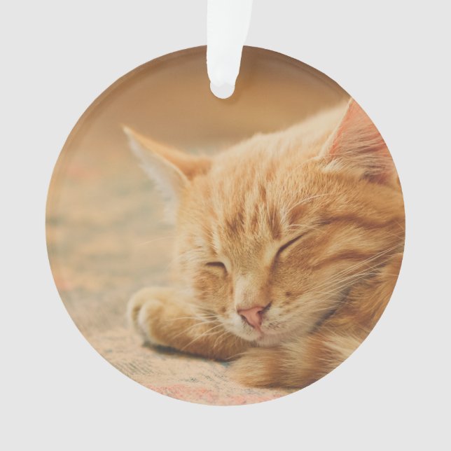 Sleeping Orange Tabby Cat Ornament (Front)