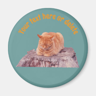 Sleeping Orange Tabby Cat Personalized Magnet