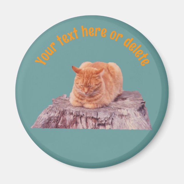 Sleeping Orange Tabby Cat Personalized Magnet (Front)