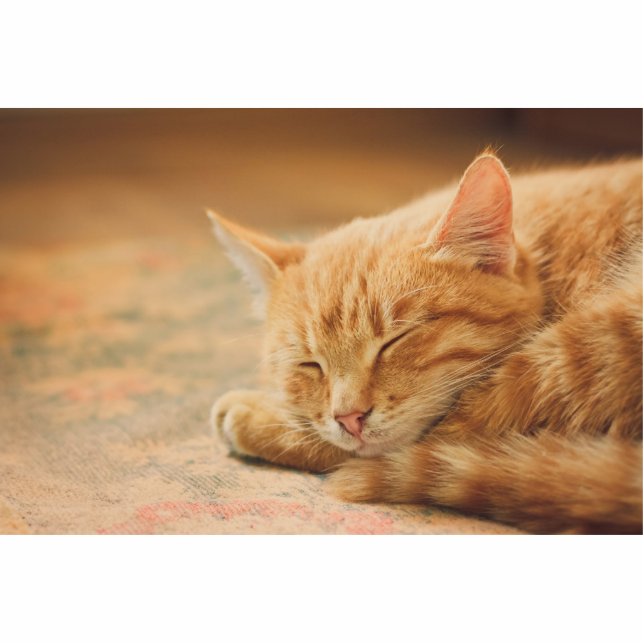 Sleeping Orange Tabby Cat Statuette (Front)