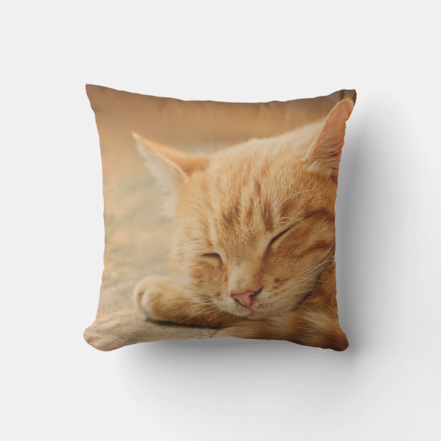Sleeping Orange Tabby Cat Throw Pillow (Front)