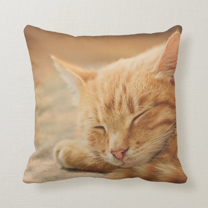 orange cat pillow