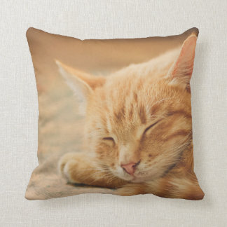 Sleeping Orange Tabby Cat Throw Pillow