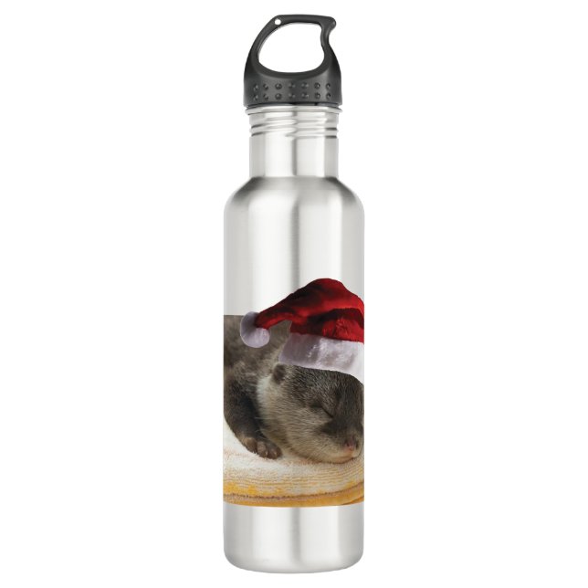 Sleeping-Otter Stainless Steel Water Bottle (Front)