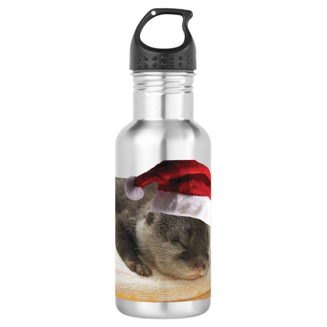 Sleeping-Otter Stainless Steel Water Bottle (Front)