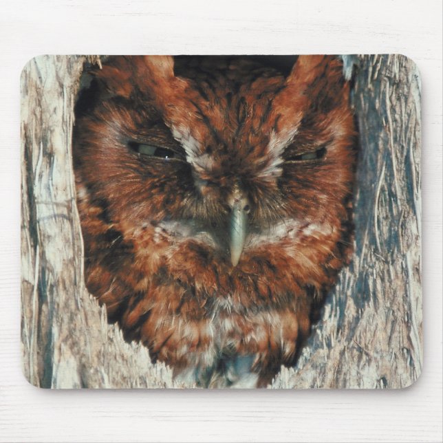 Sleeping Owl in a Tree Mouse Pad (Front)