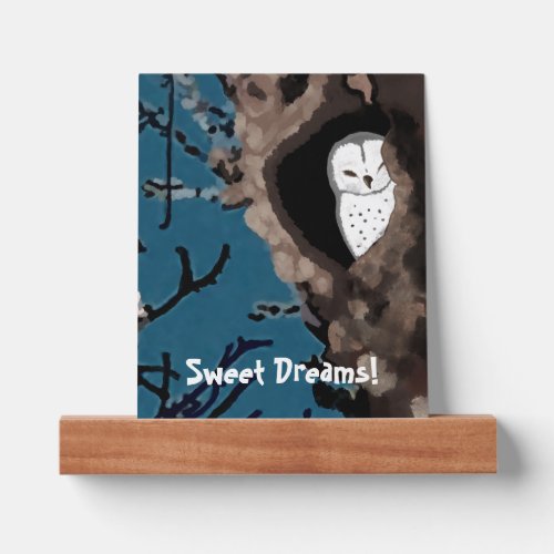 Sleeping Owl Picture Ledge