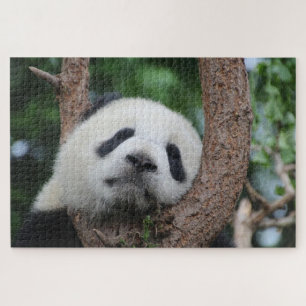 Sleeping panda bear on a tree jigsaw puzzle