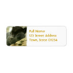 Sleeping Panther Mailing Label