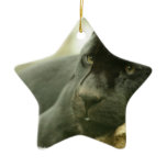 Sleeping Panther Ornament