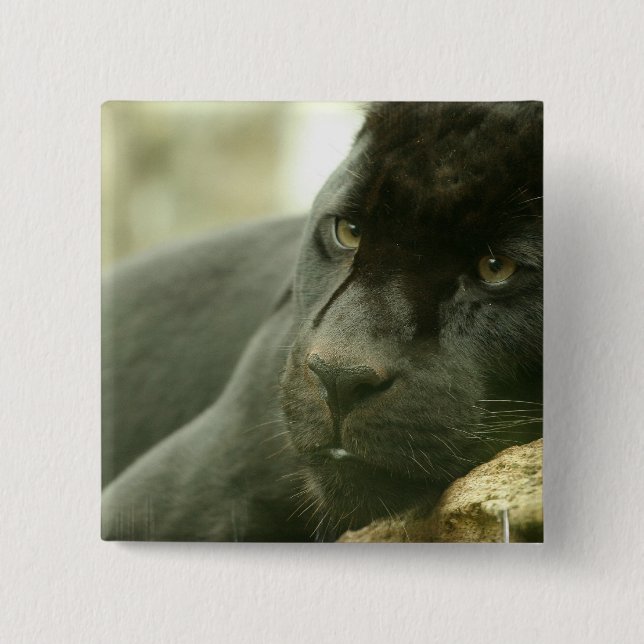 Sleeping Panther Pin (Front)
