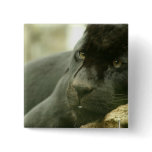Sleeping Panther Pin