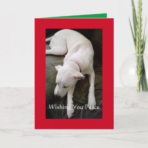 Sleeping Peaceful White Dog Christmas Holiday Card