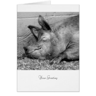 Sleeping Pig For All Ocassions Cards