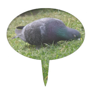 Sleeping Pigeon Cake Pick