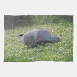 Sleeping Pigeon Kitchen Towel