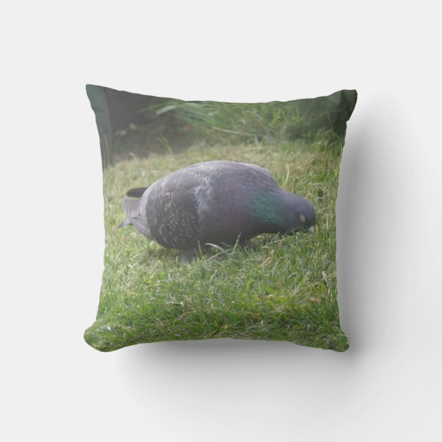 Sleeping Pigeon Pillow (Front)