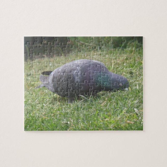 Sleeping Pigeon Puzzle (Horizontal)