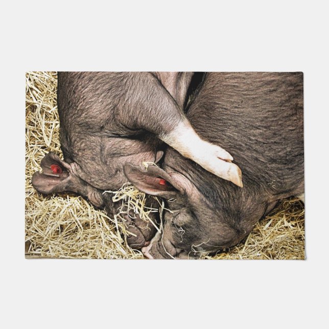 SLEEPING PIGS DOORMAT (Front)