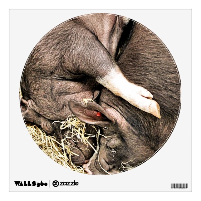 SLEEPING PIGS WALL DECAL (Front)
