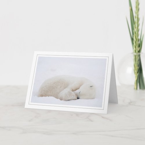 Sleeping Polar Bear Holiday Card