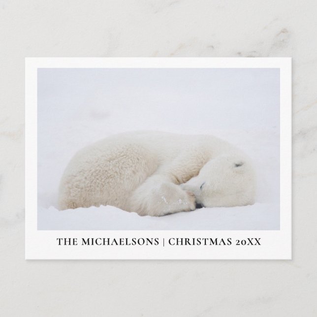 Sleeping Polar Bear Holiday Postcard (Front)