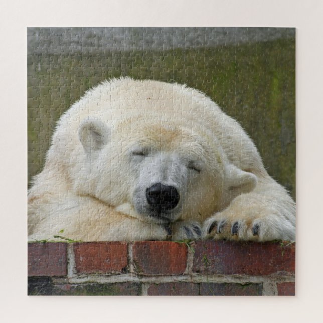 Sleeping Polar bear Jigsaw Puzzle (Vertical)