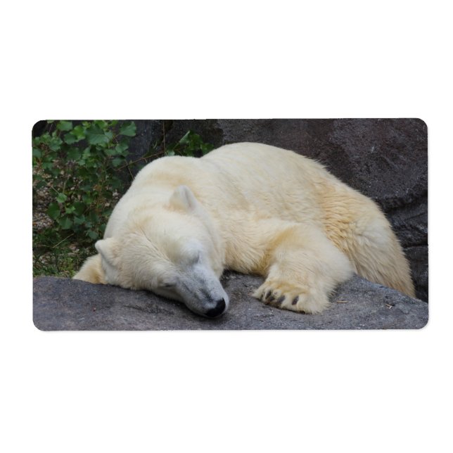 Sleeping Polar Bear Label (Front)