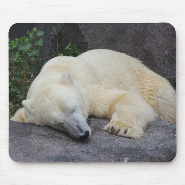 Sleeping Polar Bear Mouse Pad (Front)