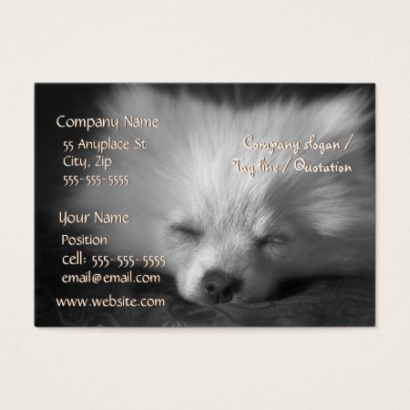 Sleeping Pomeranian business card template