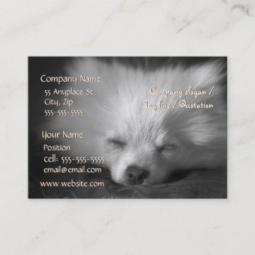 Sleeping Pomeranian business card template