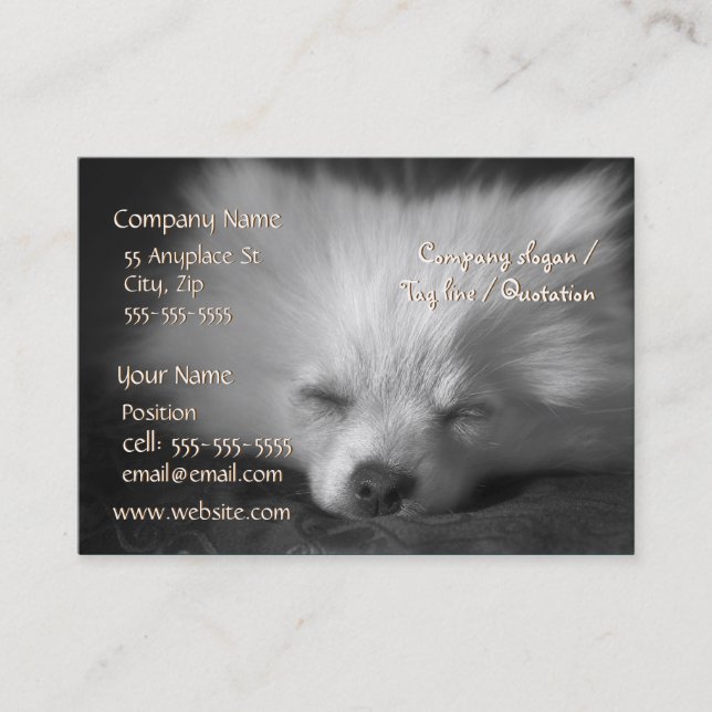 Sleeping Pomeranian business card template (Front)