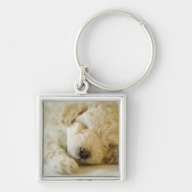 Sleeping Poodle puppy 2 Keychain (Front)