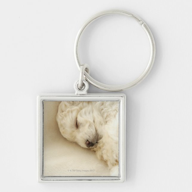 Sleeping Poodle puppy Keychain (Front)