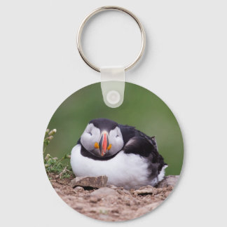 Sleeping Puffin Keychain