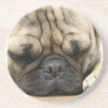 Sleeping Pug Coasters