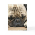 Sleeping Pug Greeting Card