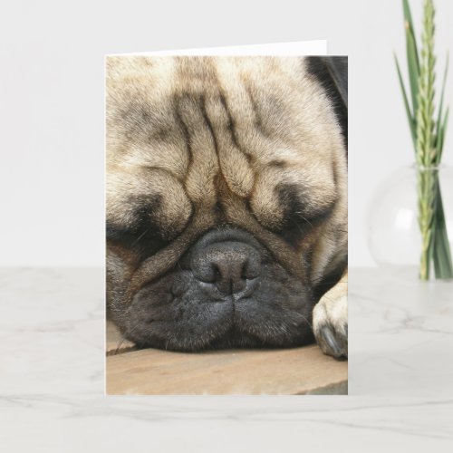 Sleeping Pug Greeting Card