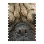 Sleeping Pug Invitation