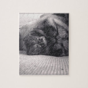 Sleeping Pug Jigsaw Puzzle