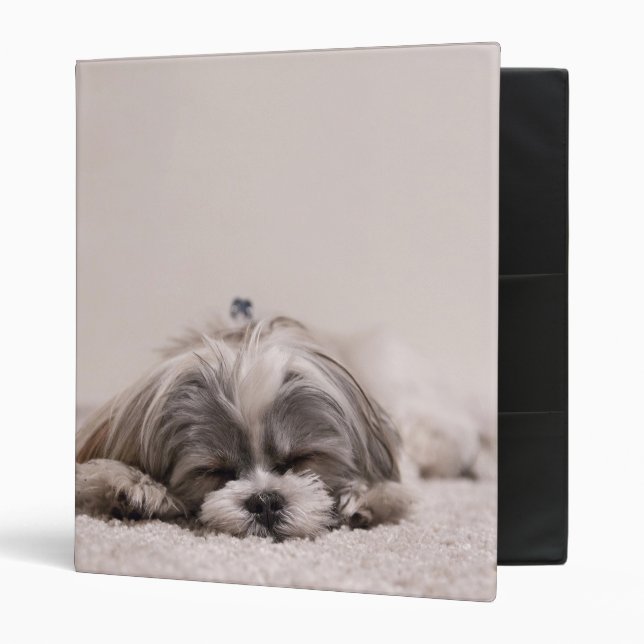 Sleeping Puppy 3 Ring Binder (Front/Inside)