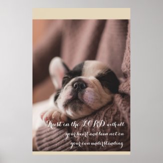 Sleeping puppy, christian poster